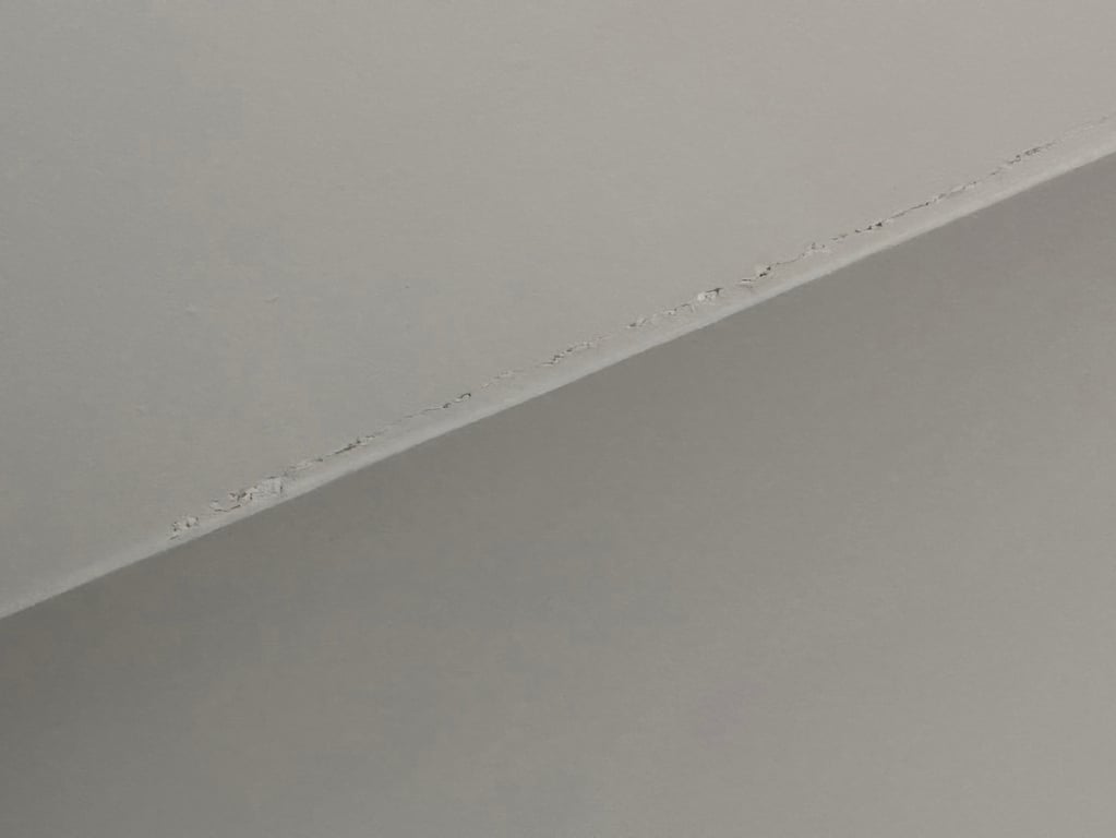 notion image