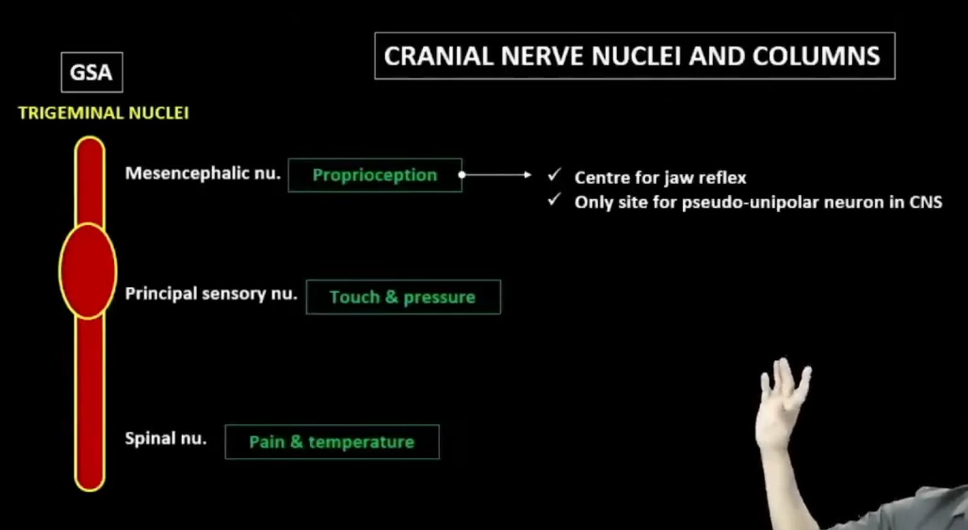 Pseudo Meesa → Jaw near Meesa