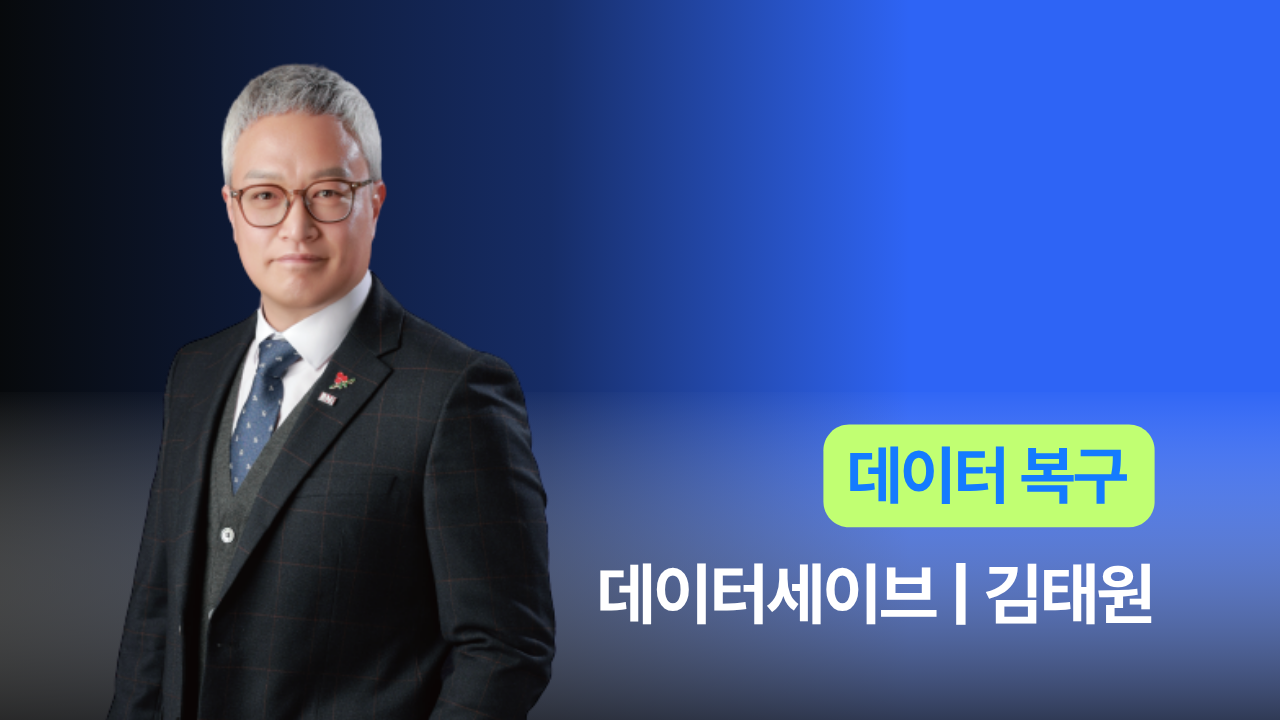 데이터세이브 - 김태원