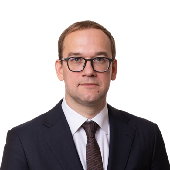 Ansis_Spridzans (1).png