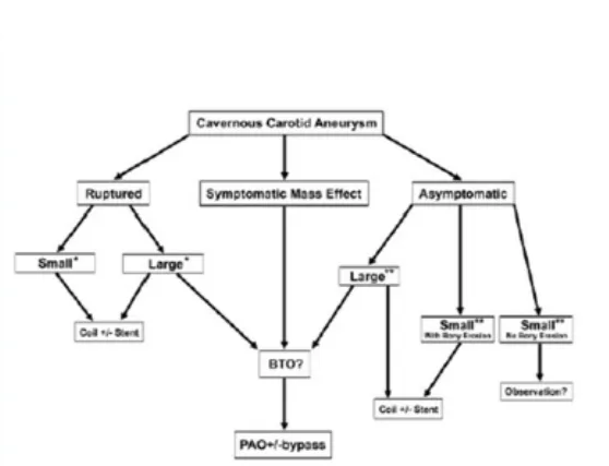 Neurosurg Focus 26 (5):E4, 2009 Cavernous carotid aneurysms: to treat or not to treat? CHRISTOPHER S. EDDLEMAN, M.D., PH.D., MICHAEL C. HURLEY, M.D.,BERNARD R. BENDOK, M.D., AND H. HUNT BATJER, M.D. Departments of Neurological Surgery and Radiology, Feinberg School of Medicine, Northwestern University, Chicago, Illinois