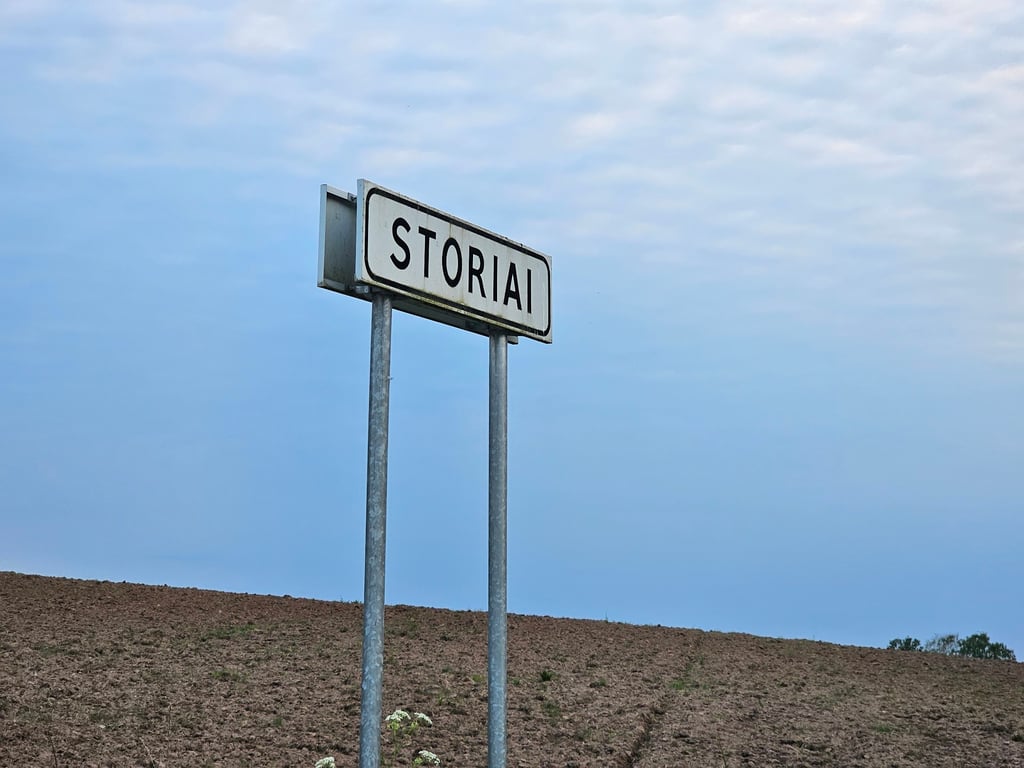 notion image