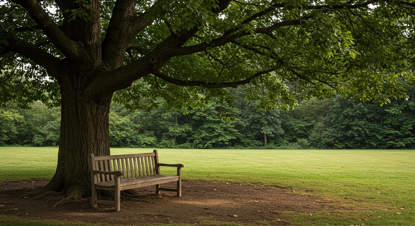 The Proven Stress-Relieving Benefits of Croquet