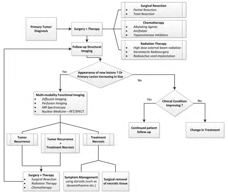 Flowchart illustrating the proposed flexible treatment algorithm that combines multiple functional imaging techniques with structural imaging for treatment of patients with brain tumour. 