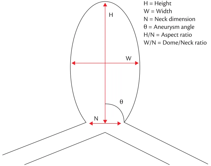 H = Height W = Width N = Neck dimension O = Aneurysm angle H/N = Aspect ratio WIN = Dome/Neck ratio Fig. 47.1 Schematic illustration of a cerebral aneurysm and morphological parameters. 