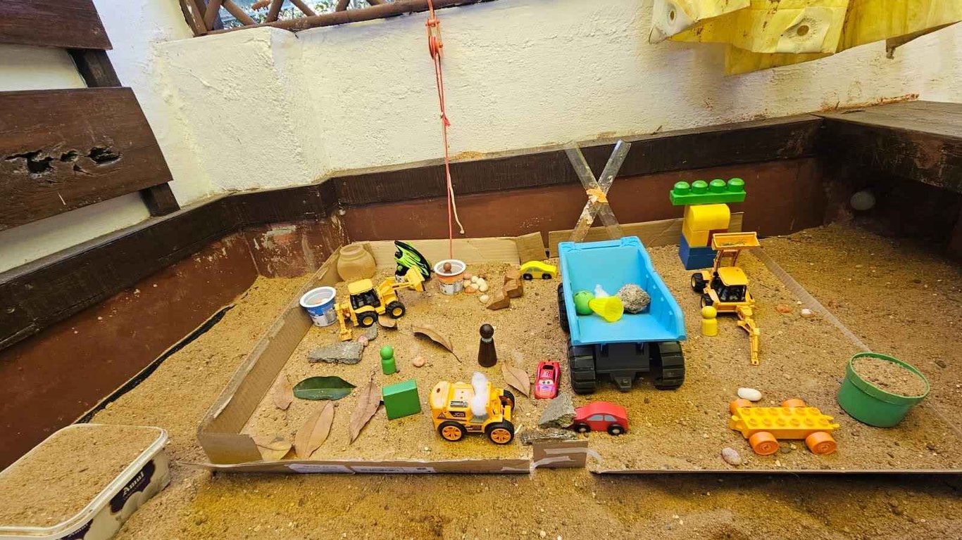 Construction zone in the sandpit - created by a gang of 4-7 year old and an hour of free play