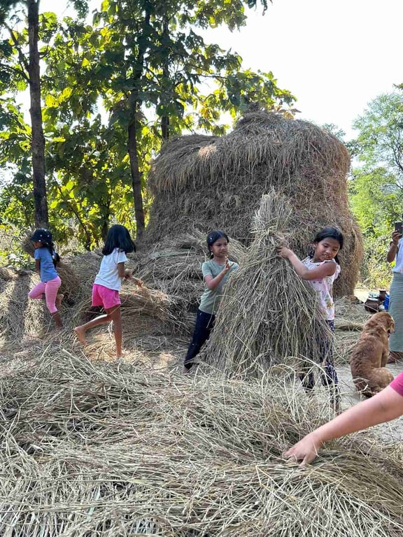 New found perspective on the amount of work it takes to put rice on our plates