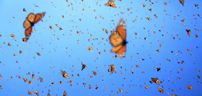 Empathie, créativité… : les compétences de demain sont vos qualités humaines.