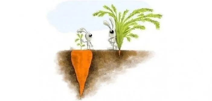 Se comparer aux autres est une forme de résistance – Barbara Sher