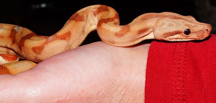 Comment gérer les gens toxiques ?