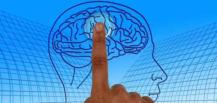 Le cerveau : deux modes de fonctionnement – Daniel Kahneman