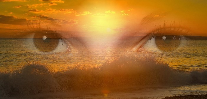 27 questions pour vivre votre passion