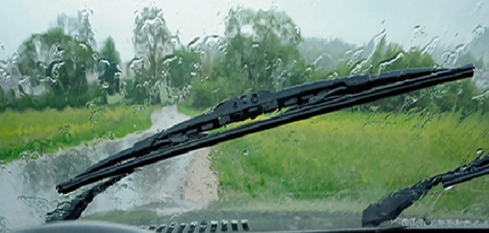 Mooji et les essuie-glaces, métaphore du mental qui s’agite