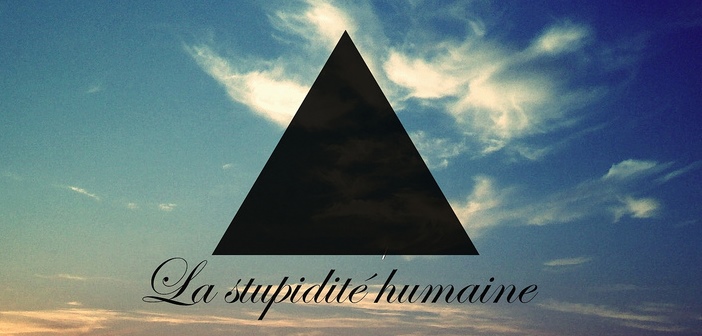 Considérations sur la stupidité