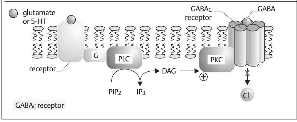 A diagram of a cell membrane AI-generated content may be incorrect.