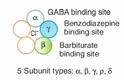 A diagram of different types of binding sites AI-generated content may be incorrect.
