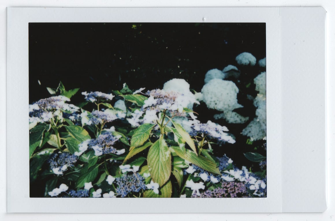 notion image