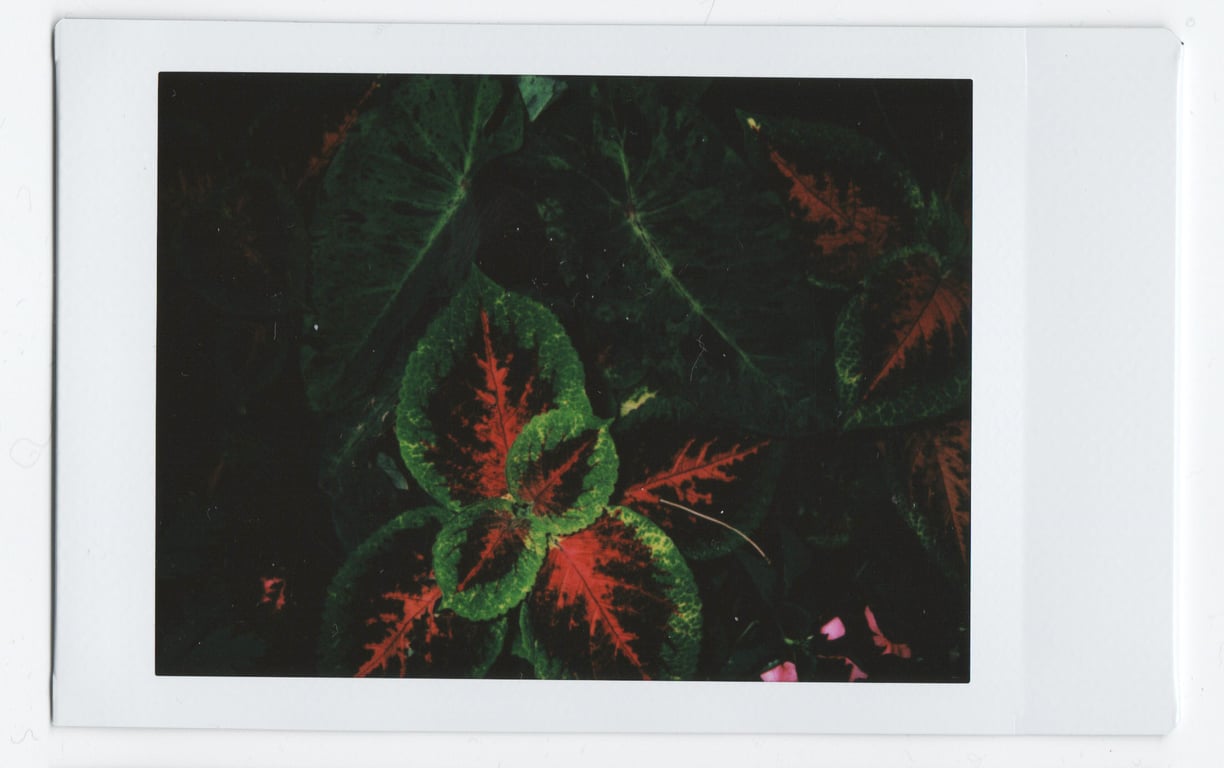 notion image