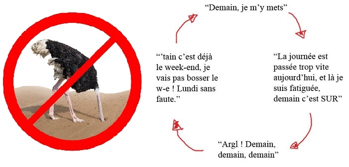 Procrastination : demain promis j’arrête !