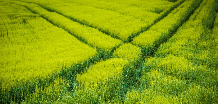 Comment trouver sa voie sans s’auto-saboter ? L’avis de T. Harv Eker