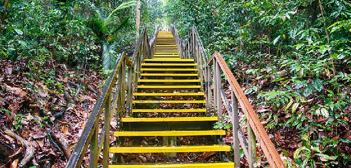 Vision et planification de la réussite par la méthode GTD