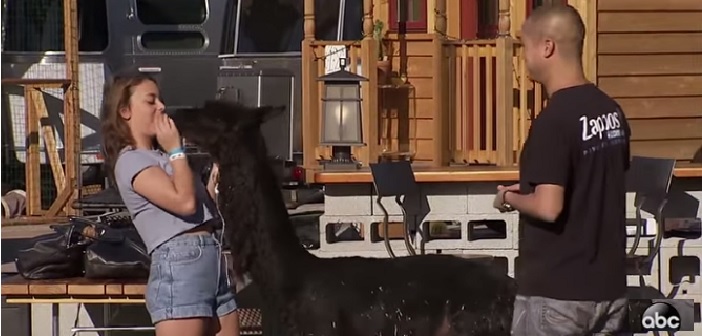 La vie excentrique de Tony Hsieh, PDG de Zappos