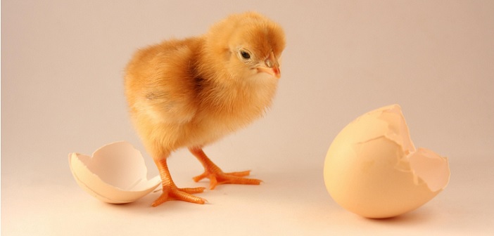 Comment démarrer votre aventure entrepreneuriale