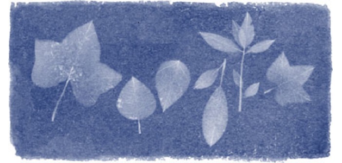 Anna Atkins, botaniste, illustratrice, photographe, innovatrice