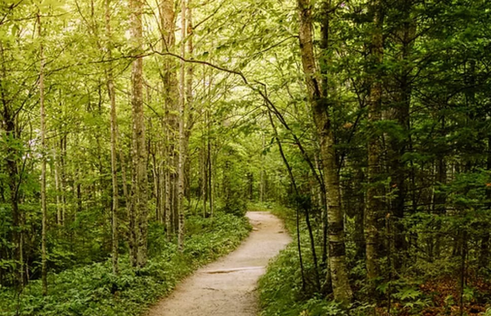 Hike & Heal Walk