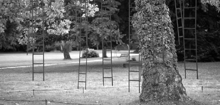 L’art de grimper à l’échelle