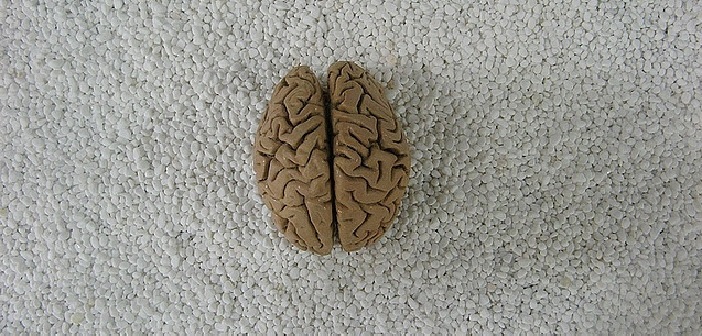 Manifestations de la douance