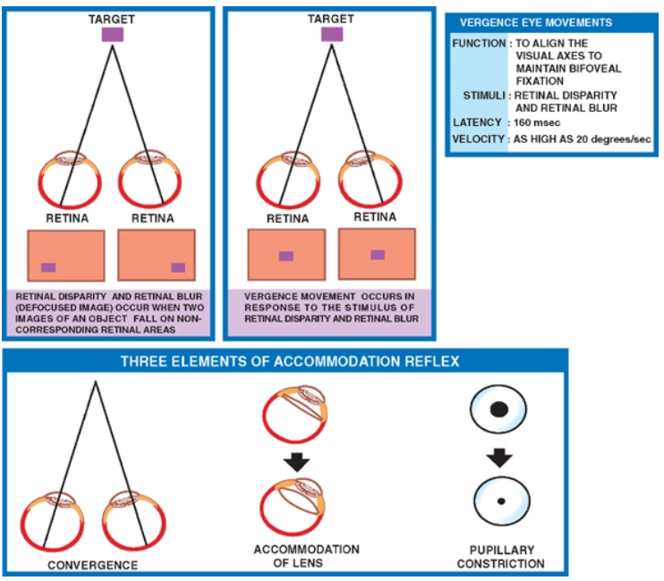 TARGET LATE'EY '60. TARGET FUNCTION 10 AL.GN 'HE VISUAL AXES TO B FOVEAL STAR I : RETINAL tw•ARiTY ANO REYNAL BLUR VELOCITY : AS AS n RETINA RETINA RETINA RETINA (oevocuseo occun rwo *AGES OV RESPONSE '0 0' THREE ELEMENTS OF ACCOMMODATION REFLEX PUPILLARY CONVERGENCE OF LENS 