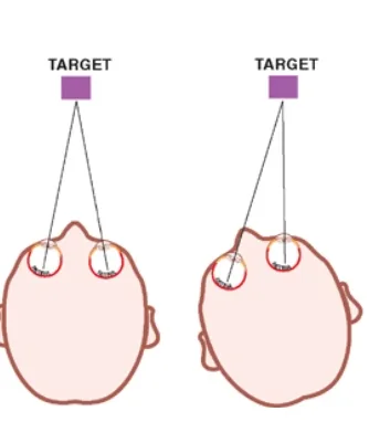 TARGET TARGET VESTIBULAR-OPTOKINETIC EYE MOVEMENTS : TO MAINTAIN EYE POSITION WITH RESPECT TO CHANGES IN HEAD AND BODY POSITION STIMULUS : CHANGE IN HEAD AND BODY POSTURE LATENCY : 10 VELOCITY : AS AS RETINAL IMAGE IS MAINTAINED BY COMPENSATORY EYE MOVEMENTS THAT COUNTERACT THE EFFECTS OF HEAD MOVEMENT. WHEN HEAD MOVEMENT OCCURS, COMPENSATORY EYE MOVEMENTS ARE STIMULATED BY SENSORY SIGNALS FROM THE VESTIBULAR SYSTEM. THE VISUAL SYSTEM, AND THE SOMATOSENSORY SYSTEU 