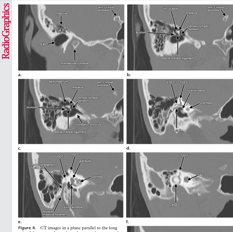 A collage of images of a person's body AI-generated content may be incorrect.