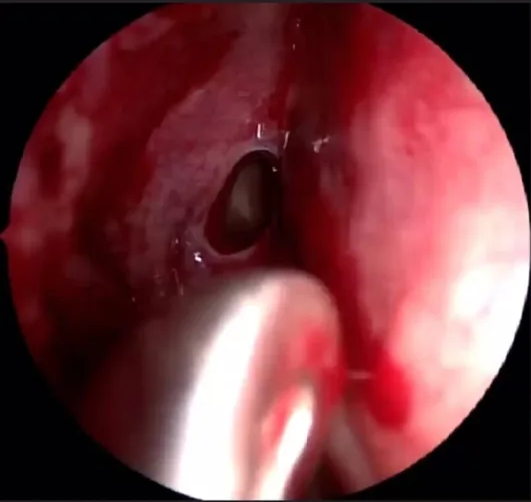 A close-up of a diagram of the human body AI-generated content may be incorrect.