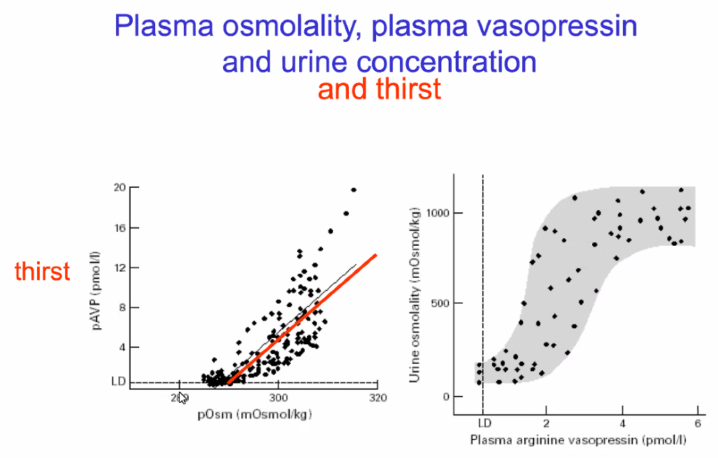 thirst Plasma osmolality, plasma vasopressin and urine concentration and thirst 1000 LD 300 posm (mOsmol/kg) Plasma aroinine vasopressin (prnol'l) 