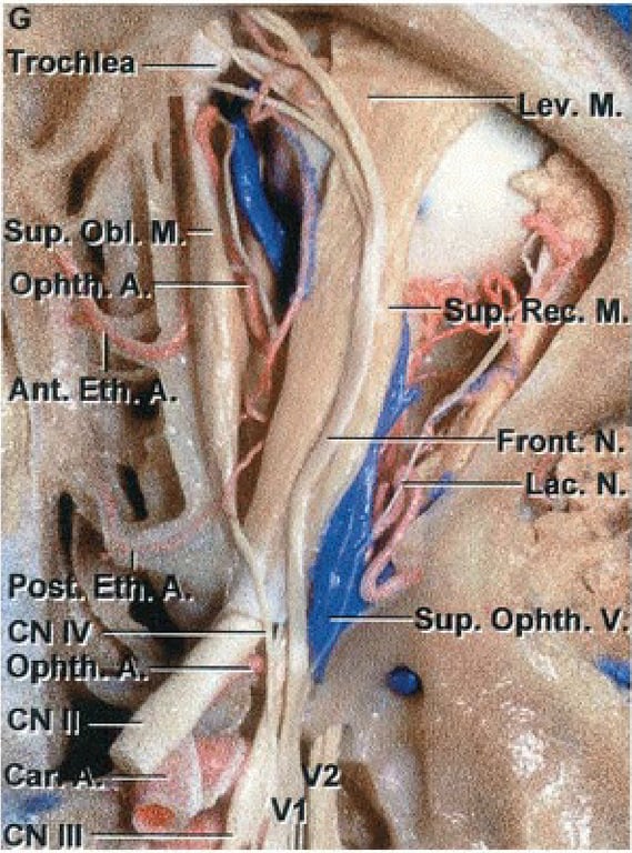 •qıqdo •dnş 1113N3 do V İydo ıq •d9ş ea 