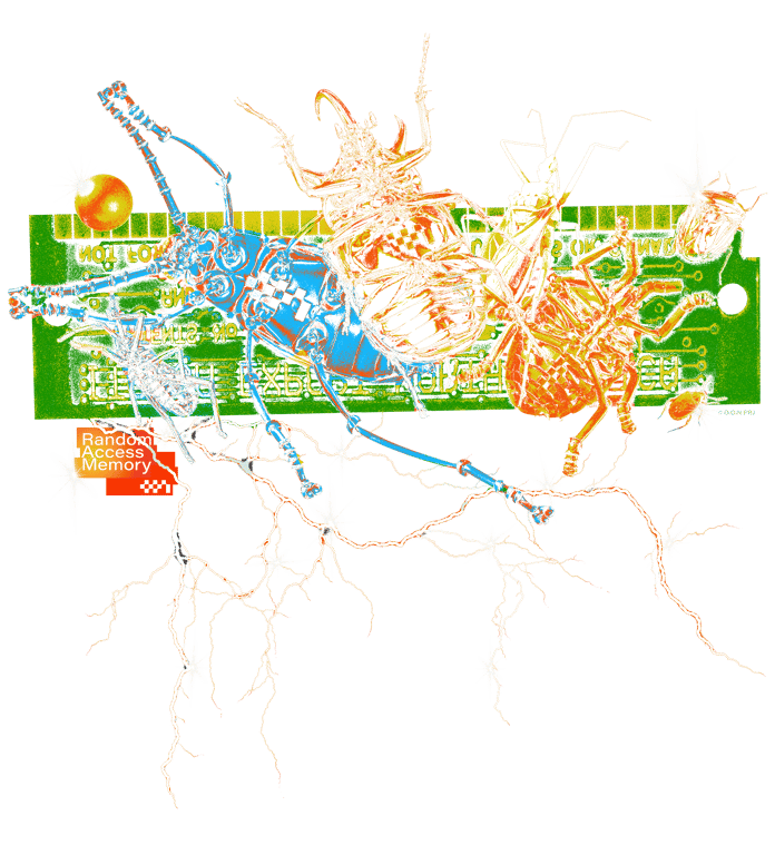 OON FIRST COLLECTION