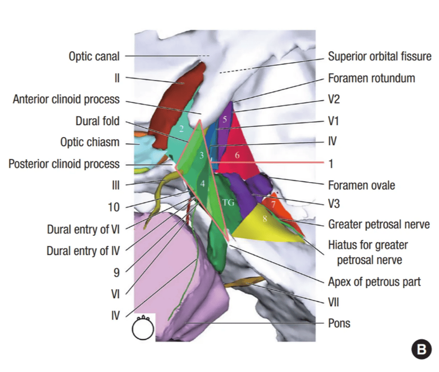 In the 3D models, each structure related to the triangles is shown accurately.