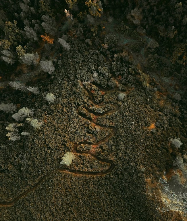 Writing in Circles to Find True North