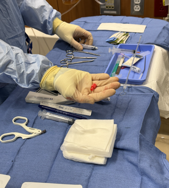 The large bore catheters do not come with a red cap. You need to open a regular bore EVD just to steal the red cap (shown below) from it. 