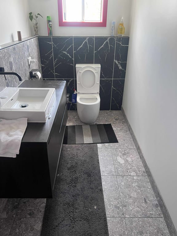 New Tiles and Toilet
