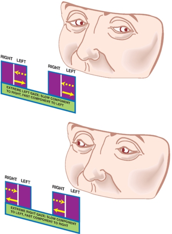 A close-up of a face AI-generated content may be incorrect.