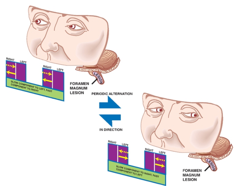 A diagram of a human face AI-generated content may be incorrect.