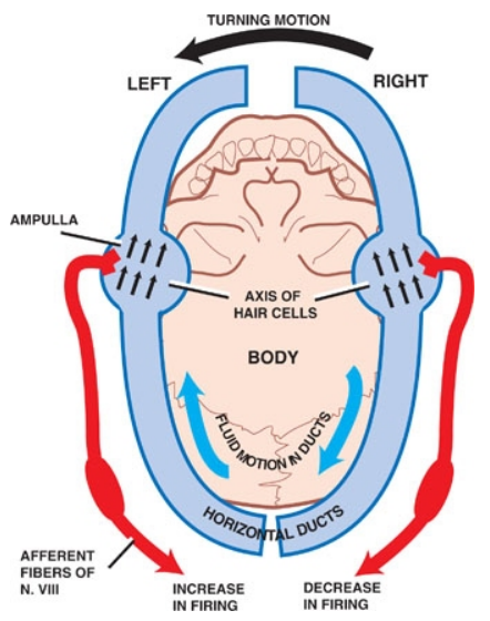 FIBERSOF TURNING M01- ON RIGHT 