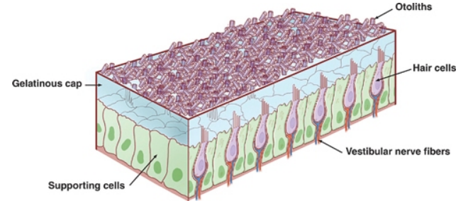 A diagram of a structure AI-generated content may be incorrect.