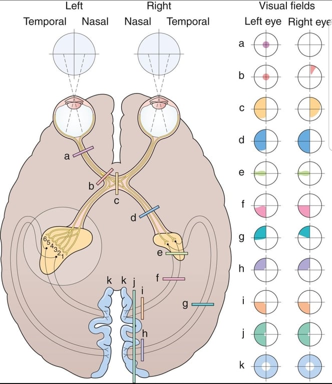 Лэ щб!Н эла ИЭЛ spp!l рос*шаш pseN щб!Н pseN tejodeual 