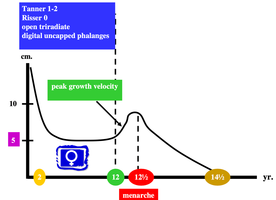 Summary of typical growth pattern for a girl.