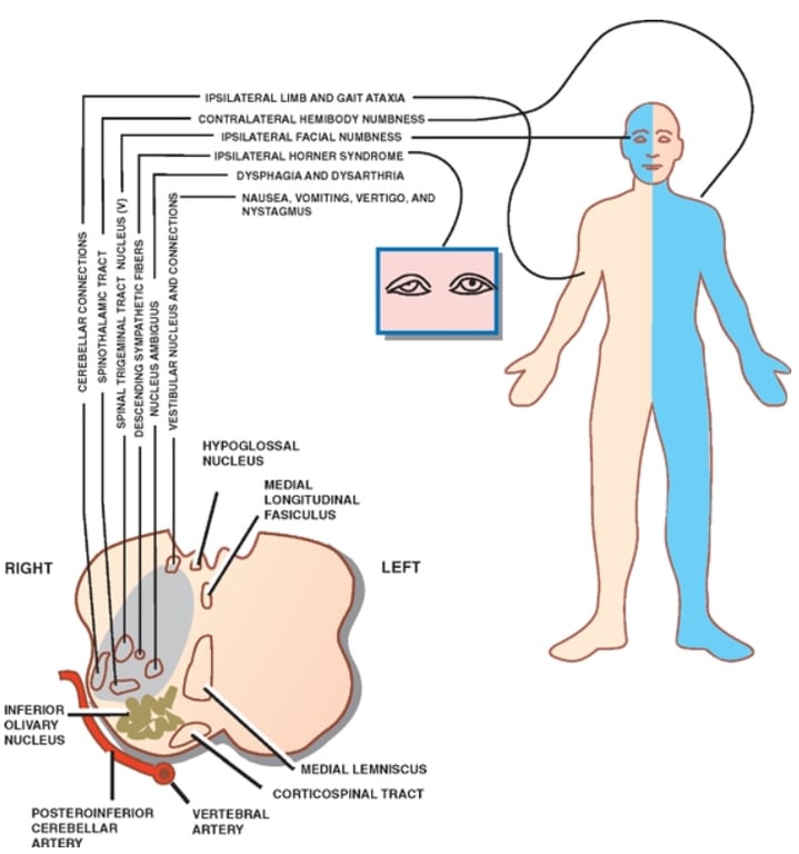 COkTHALATt“L н ен•оот PSa,ATtRk w“HtSS •-юю•ея V ASk:uvus Ш ЧАЯУ М ТАК ТАСТ СЕ яеВЕШАЯ 