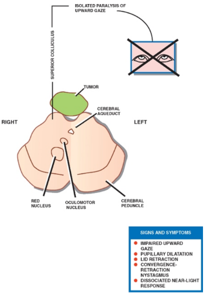 : * 10 V - ) SSIO 91VIV1n ABV"41d •33N39U3AM)3 BNOdS3d 
